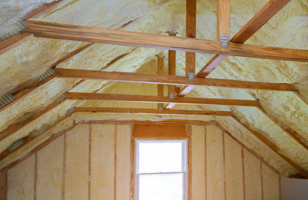 Best Blown-in Insulation in Buena Vista, MI